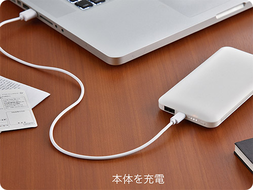 ���o�C���o�b�e���[ 10000