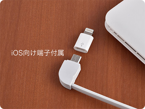 ���o�C���o�b�e���[ 10000