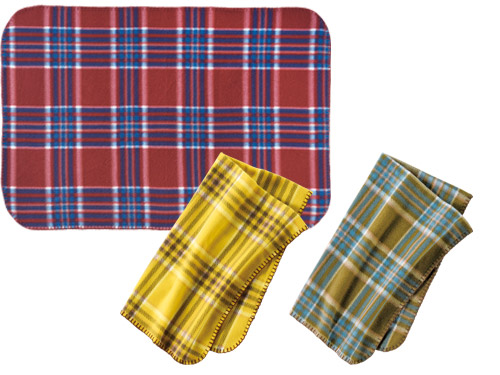 ブリストチェックブランケット トートバッグ付